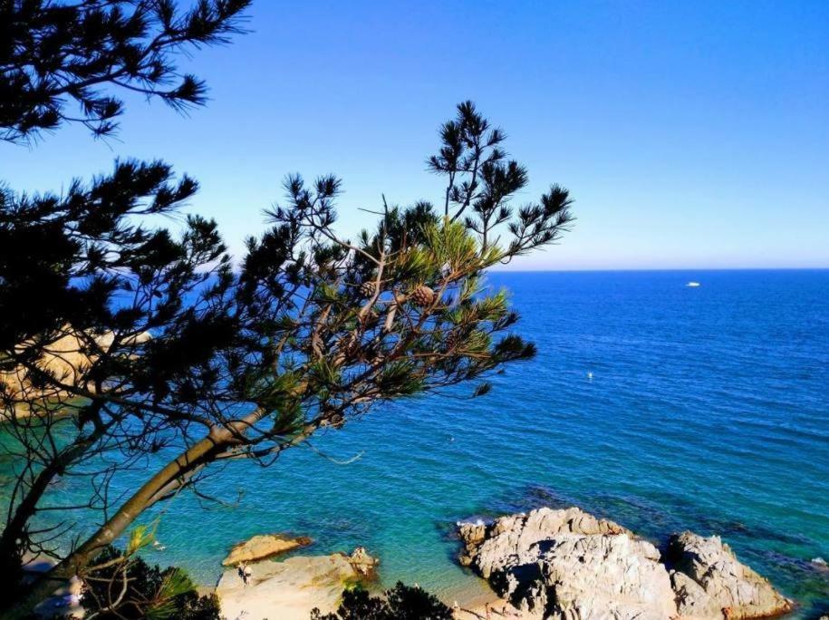 Montane Lloret de Mar